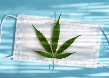 COVID-19 poveikis CBD aliejaus rinkos augimui, dydžio įvertinimui, tendencijų analizei, akcijų vertei ir visuotinei COVID-19 analizei iki 2024 m.