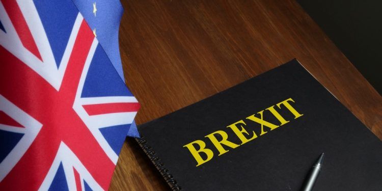 ES diplomatai informavo apie BREXIT prekybos susitarimą