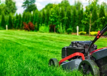 Žolė – Kaimynas Pjauna Kartą į Mėnesį. Kodėl Man Reikia Kas Savaitę? Viskas Apie žolės Priežiūrą