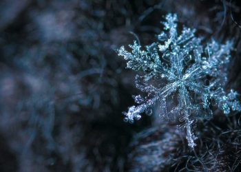 Vyriška žygių striukė: kaip išsirinkti geriausią