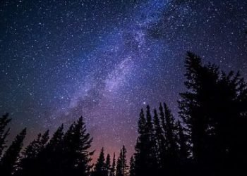 Keisčiausi Daiktai, Išskraidinti į Kosmosą: Pasižymėjo Ir Lietuva