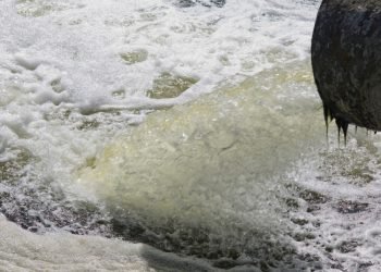 Dar 600 Būstų Nuotekas Tvarkys Centralizuotai