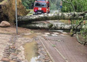 Audros Metu Medžiai Virto Ant Darželio Tvoros, Ant Namo Stogo Ir Ant Kelių