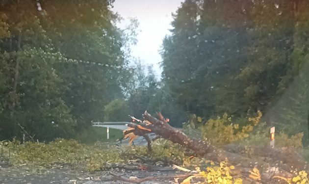 Po Pirmadienį Prasiautusios Audros Dar šalinami Nuvirtę Medžiai