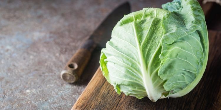 Kopūstai – neatsiejami nuo sezoninės mitybos: maisto ekspertė pataria, kaip originaliai juos įtraukti į kasdienį valgiaraštį