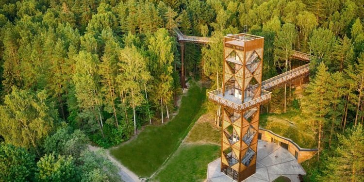 Pabuvimas Gamtoje – Turiningai Praleistas Laisvalaikis