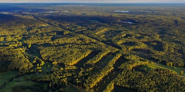 Kviečiame Socialinius Partnerius į Saugomų Teritorijų įstatymo Ir Jį Lydinčių Teisės Aktų Pristatymą