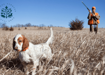 Jungtinis Aplinkosaugininkų Reidas: Tikrinta Ir Kaip Medžioklei Ruošiami šunys