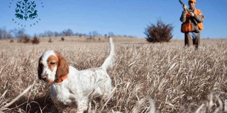 Jungtinis Aplinkosaugininkų Reidas: Tikrinta Ir Kaip Medžioklei Ruošiami šunys