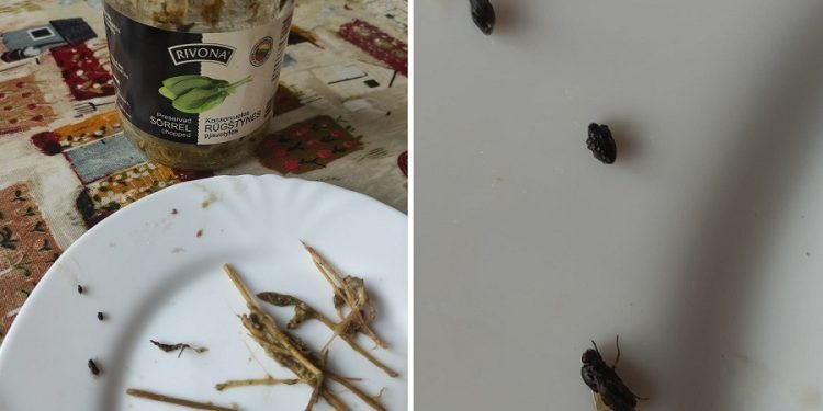 Konservuotos rūgštynės Konservuotos rūgštynės