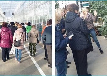 Anykščiuose Penktadienį Vyks Darbo Mugė