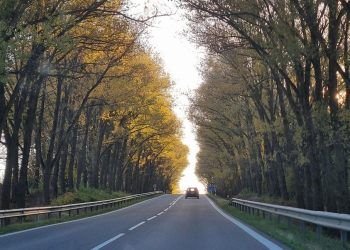 Pavojus Dar Vienai Alėjai