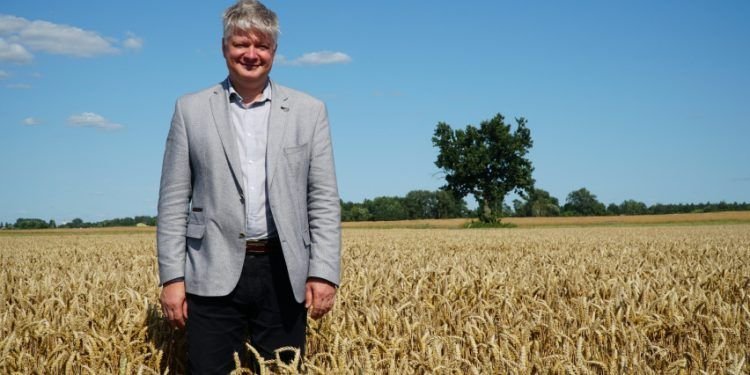 Lietuviškiems Kviečiams Atverta Meksikos Rinka