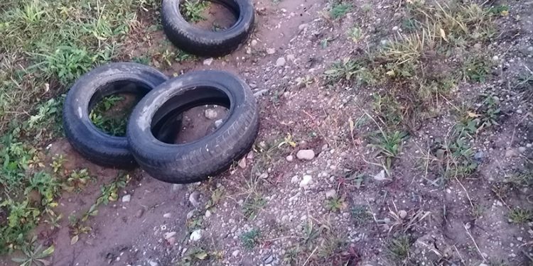 Fotofaktas. Prasideda Padangų Keitimo Sezonas