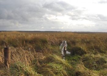 Seimas Sutinka Svarsyti, Kad įteisinti Nelegalius Gręžinius Būtų Galima Dar Paprasčiau Ir Pigiau