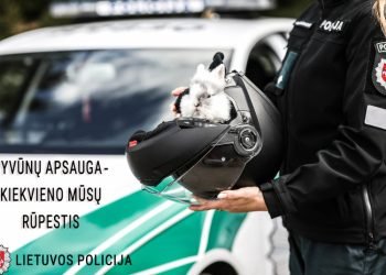 Ieškoma Efektyviausių Būdų Sprendžiant Gyvūnų Gerovės Klausimus