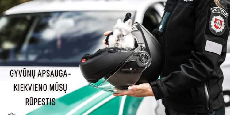 Ieškoma Efektyviausių Būdų Sprendžiant Gyvūnų Gerovės Klausimus