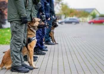 Kauno Apskrityje Vyksta Pareigūnų, Dirbančių Su Tarnybiniais šunimis, Daugiakovės Pirmenybės (Papildyta Rezultatais)