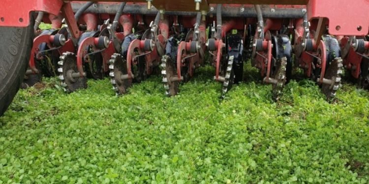 Ūkininkai Kviečiami į Bearimių Technologijų Lauko Dieną