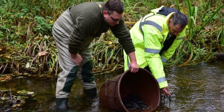 Informacija Apie įžuvinimą Ir žuvų Išteklių Mokslinius Tyrimus Atveriama Visuomenei Informacija Apie įžuvinimą Ir žuvų Išteklių Mokslinius Tyrimus Atveriama Visuomenei