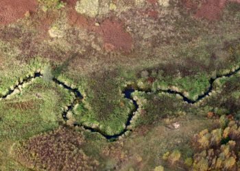 Rengiama Konferencija Apie Lietuvos Kraštovaizdžio Aktualijas