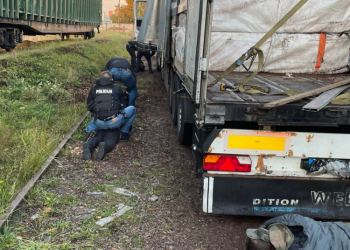 Marijampolės Kriminalistai Sulaikė 3 Milijonų Eurų Vertės Kontrabandos Krovinį