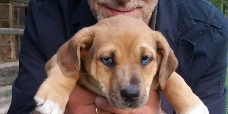 Visai Rimtai. Kaip Gyventi Ilgiau