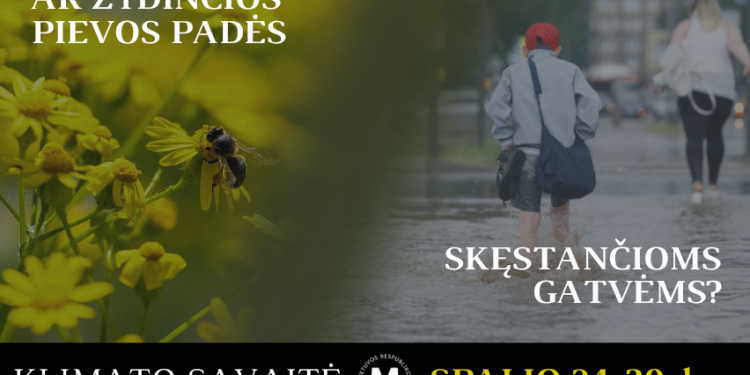Klimato Savaitės Renginiai: Nuo žaliosios Mugės Iki Pažinties Su Klimatologų Darbu