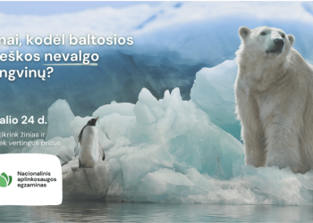 Nacionalinis Aplinkosaugos Egzaminas – Jau Pirmadienį