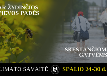 Kviečiame žurnalistus į Nacionalinę Klimato Kaitos Konferenciją: Ar žydinčios Pievos Padės Skęstančioms Gatvėms?