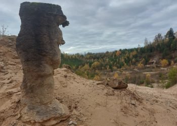 Kelmės Rajone „išaugo“ Akmeninis Medis