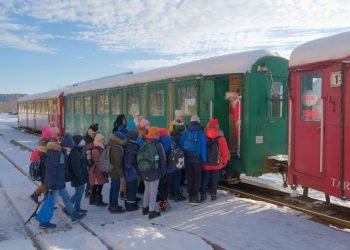 Investuos į Siauruką