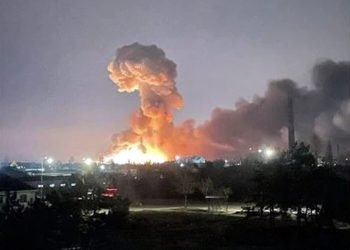 Ukrainiečius Stebina Lietuvos Gamta Ir žmonių Atjauta