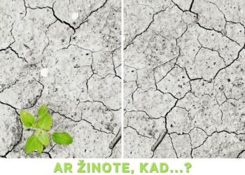 Spalio 24-Oji – Tarptautinė Klimato Kaitos Diena