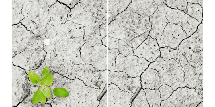 Spalio 24-Oji – Tarptautinė Klimato Kaitos Diena