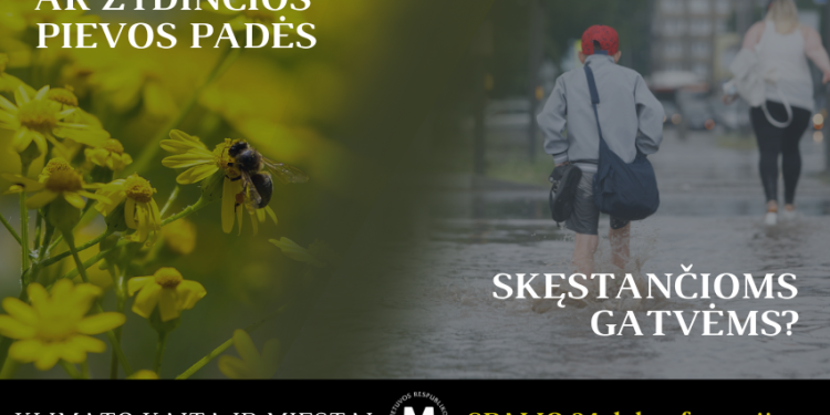 Prasideda Klimato Kaitos Konferencija: Ar žydinčios Pievos Padės Skęstančioms Gatvėms?