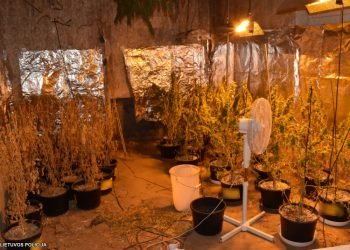 Pareigūnai Aptiko Patalpas, Kuriose Buvo įrengtos Kanapių Auginimo „laboratorijos“ (Video)