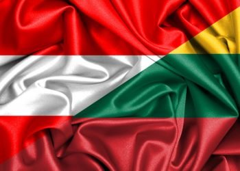 Vyriausybės vadovė pasveikino  Austriją nacionalinės dienos proga