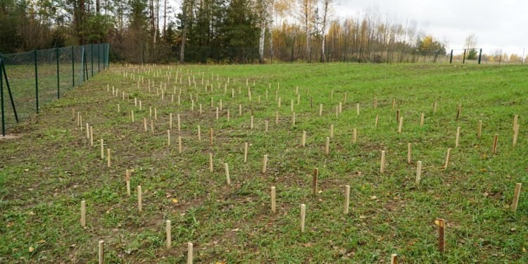 Anykščiuose įrengta Naminių Gyvūnų Laidojimo Teritorija