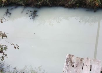 „Pieno Upė“ Palangoje: į Upelį Kažkas Išpylė Dažų