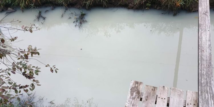 „Pieno Upė“ Palangoje: į Upelį Kažkas Išpylė Dažų