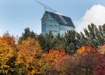 Aplinkos Ministerija Siūlo Planuoti Atskiruosius želdynus Miestuose 300 M Pasiekiamumo Rodikliu