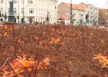 Policija Eismo Dalyviams Teiks Pagalbą Visų šventųjų Ir Mirusiųjų Atminimo (Vėlinių) Dienomis