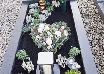 Kapinių Tvarkymo Mados: Specialistai Sutaria Vienbalsiu – Kuo Daugiau Natūralumo