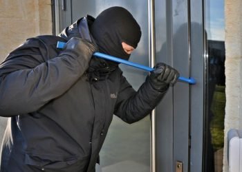 Tyrėjų Energija Ir  Kruopštumas Lėmė, Kad Žemaitijoje Siautėję Vagišiai Būtų Neutralizuoti