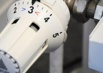 Lapkritį Klaipėdoje šiluma Pigs