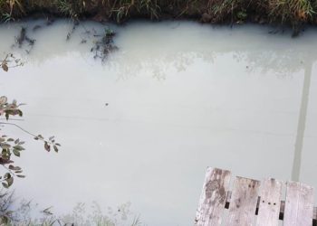 Aplinkosaugininkams Mįsles Mena Vandens Telkinių Tarša