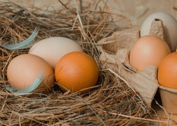 Lietuviškiems Kiaušinių Produktams Atsivėrė Ir Pietų Afrikos Respublika