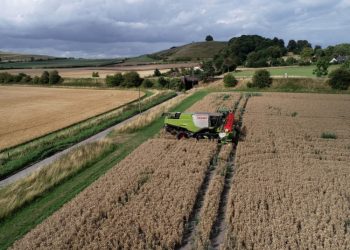Paramai Gauti Privaloma Laikytis GAAB Reikalavimų