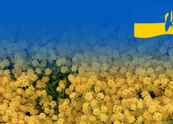 Tarptautinei Ukrainos mokyklai perduodamos patalpos